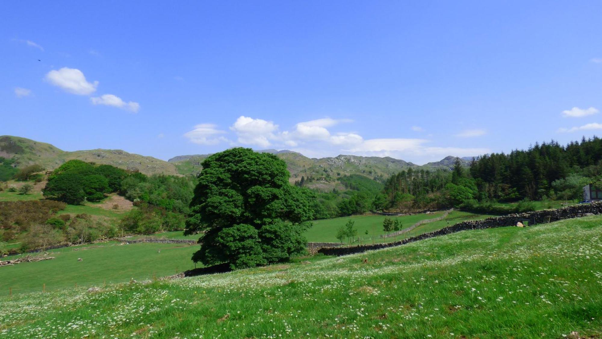 Renovated 5 Bedroom Farmhouse In Picturesque Eskdale, Lake District Bagian luar foto